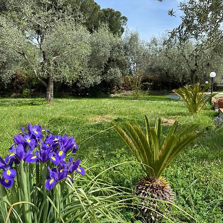 La Piccola Provenza Villa Fiano Romano Ngoại thất bức ảnh