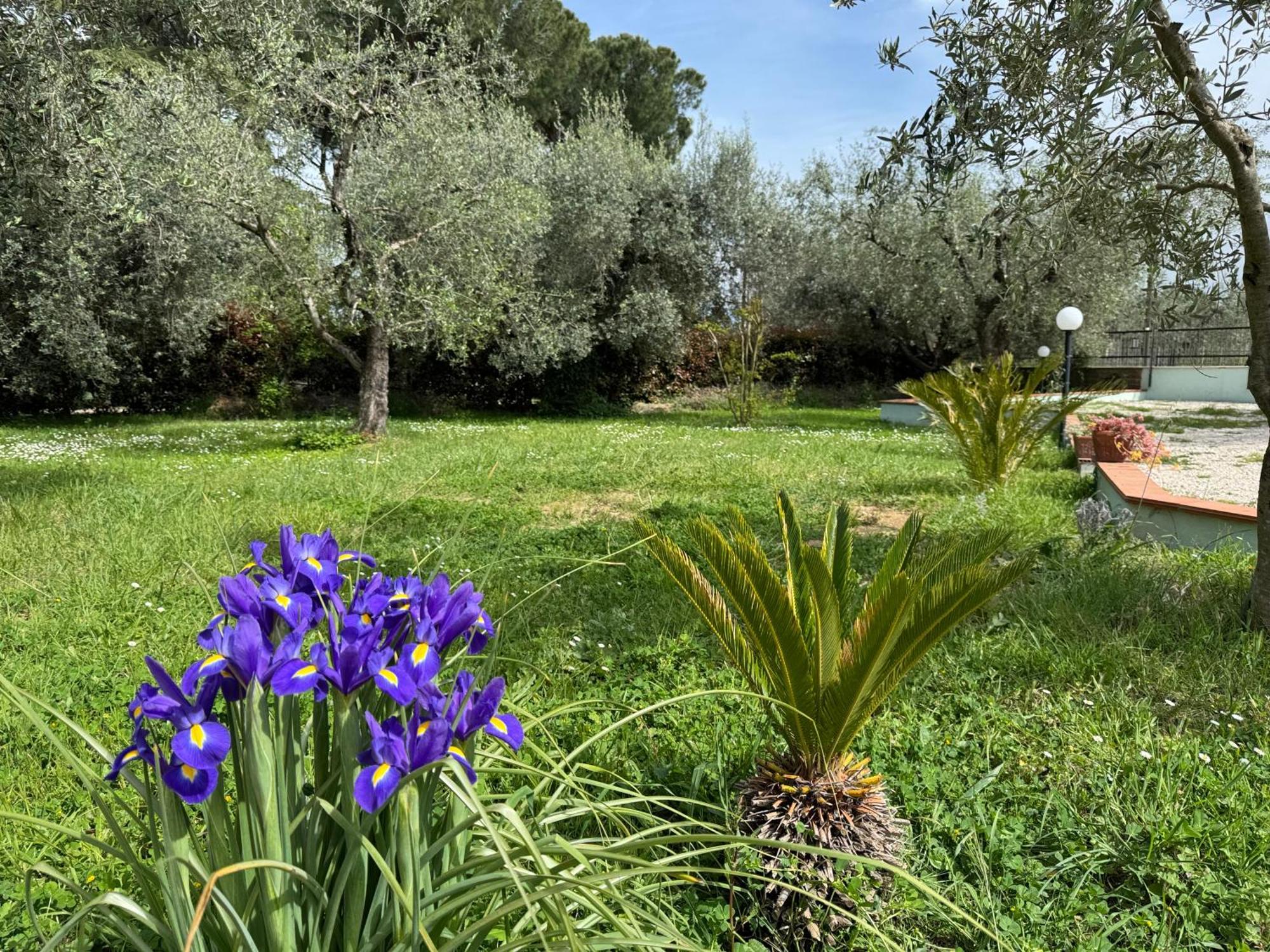 La Piccola Provenza Villa Fiano Romano Ngoại thất bức ảnh